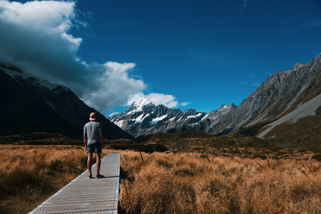 New Zealand's pristine wilderness and sustainable practices 